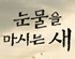 뉴스 이미지