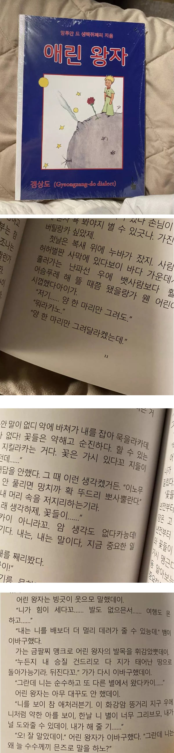 마 애린왕자 봤나? | 인스티즈