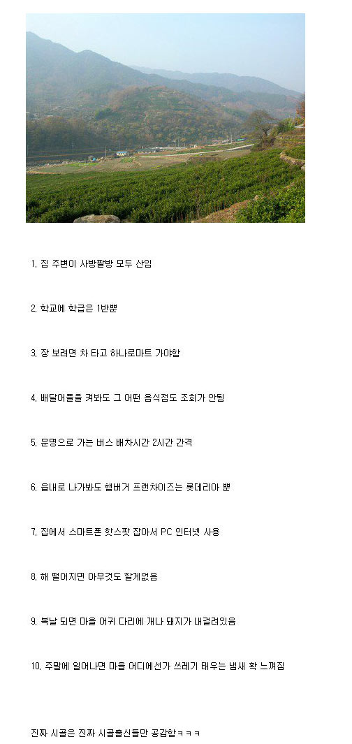 진짜 시골 특징 | 인스티즈