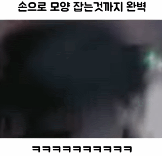 고양이에게 모자를 던져주면 | 인스티즈