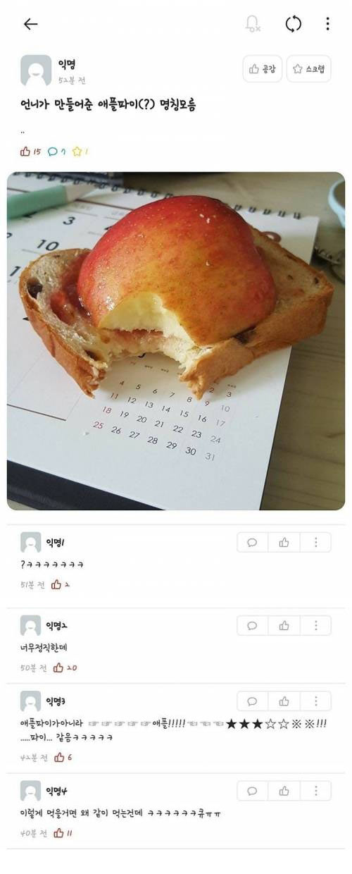 언니가 만들어준 애플파이 | 인스티즈
