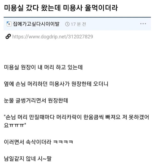 미용사를 울린 손님 | 인스티즈