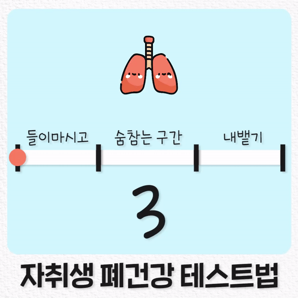 폐건강 테스트 | 인스티즈