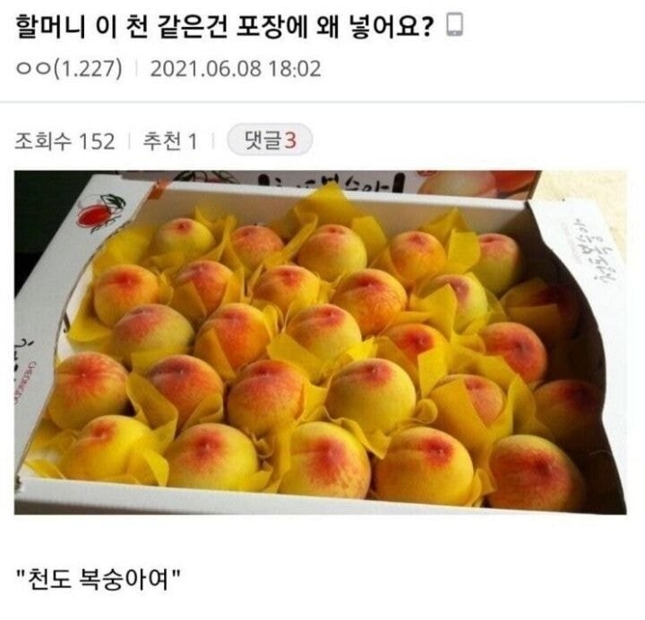복숭아에 천을 끼워놓는 이유 | 인스티즈