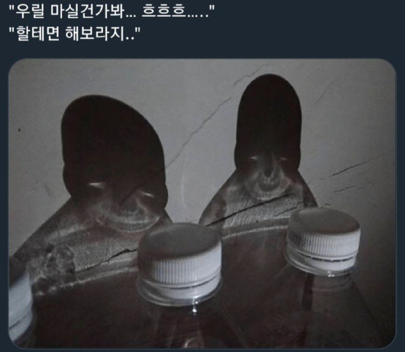 조금 무서운 음료수 | 인스티즈