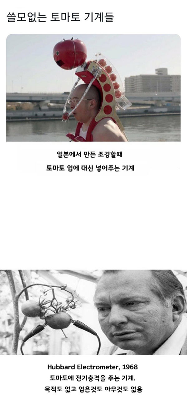 쓸모없는 토마토 기계 | 인스티즈