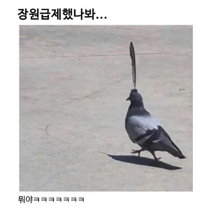 춘향아~ 기다려라 | 인스티즈