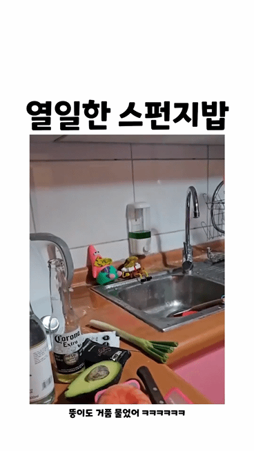 열일한 스펀지밥 | 인스티즈
