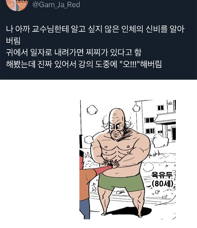 인체의 신비 | 인스티즈