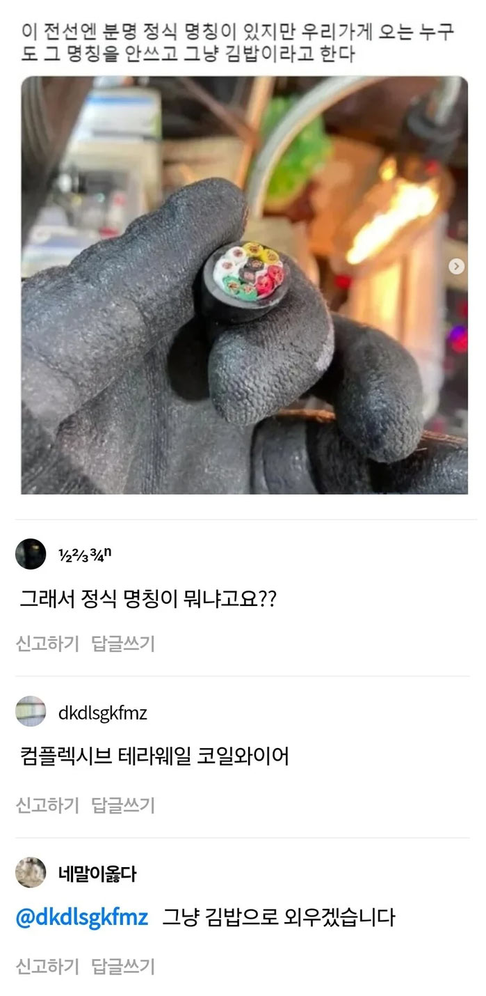 전선계 김밥 | 인스티즈