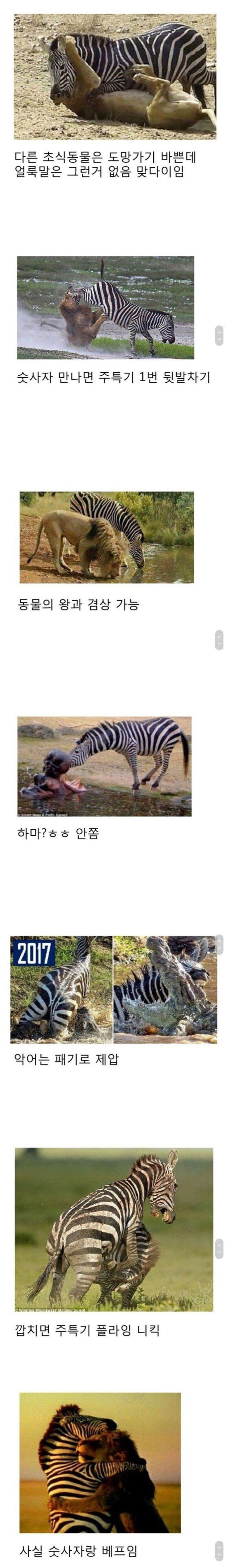 나 문신 있다 건들지마라 | 인스티즈