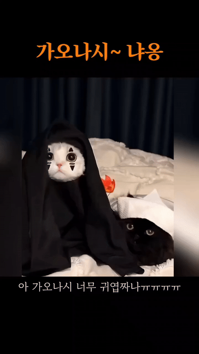 가오나시 코스프레냥 | 인스티즈