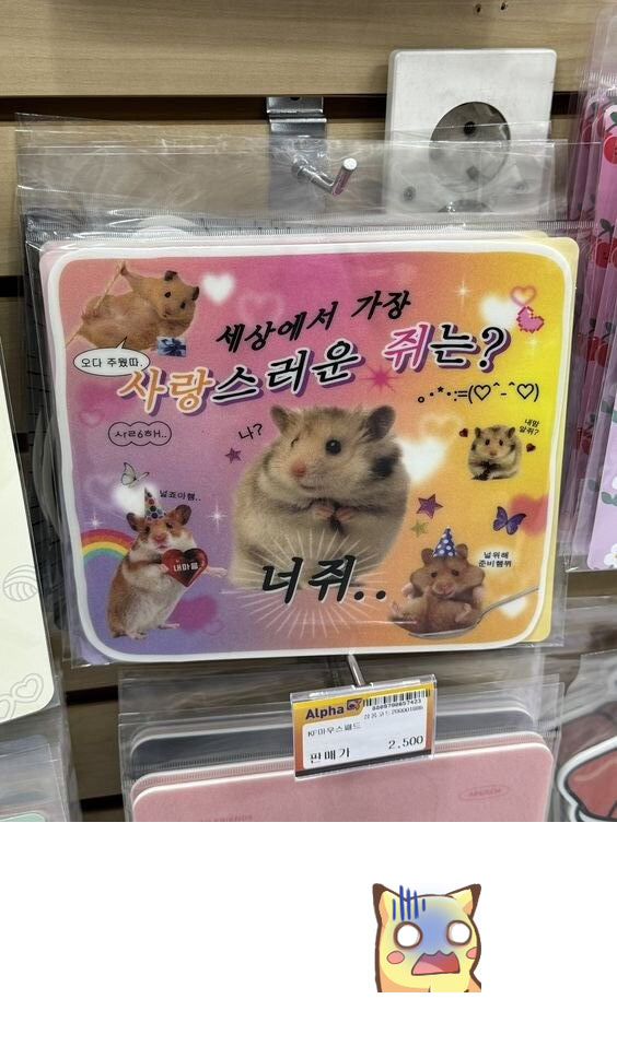 세상에서 사랑스러운 쥐는? | 인스티즈