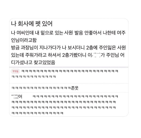 회사에 펫 있어 | 인스티즈