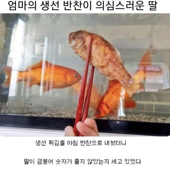 의심스러운 엄마 반찬 | 인스티즈