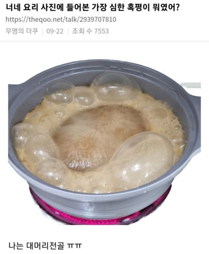 요리 사진 중 심한 혹평 | 인스티즈