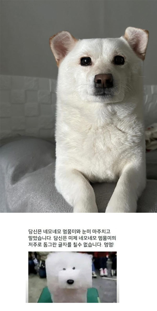 멈멈! 멈멈! | 인스티즈