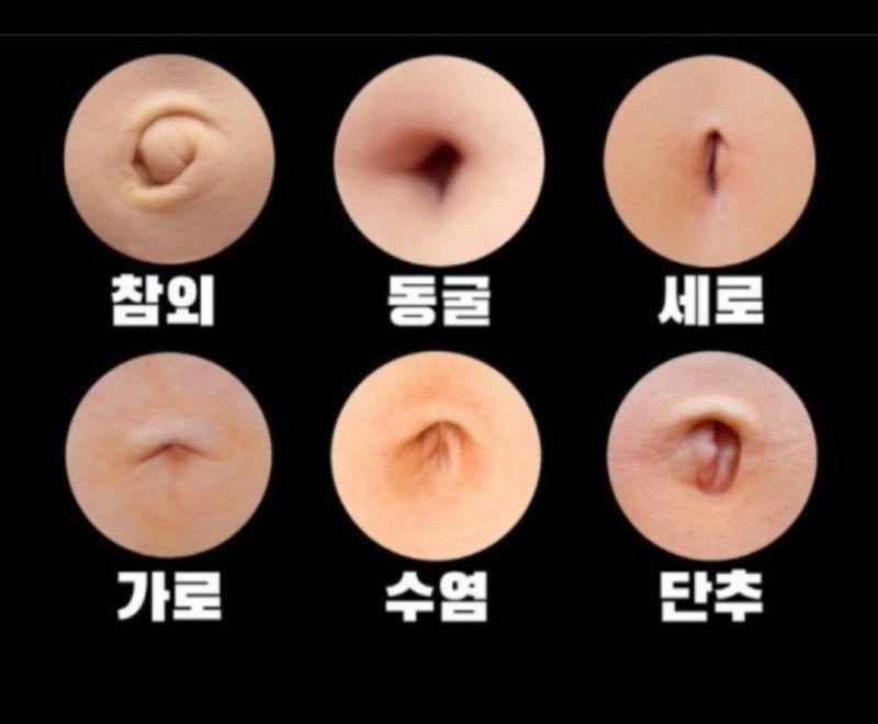 당신의 배꼽은? | 인스티즈