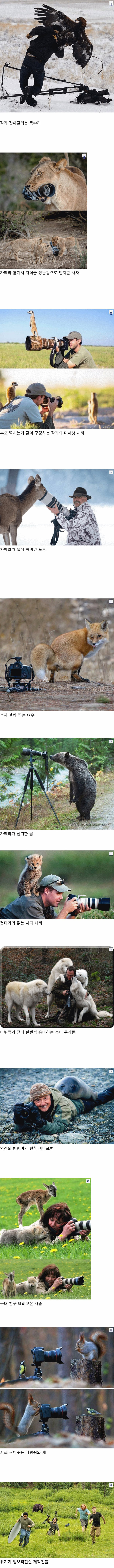 내셔널지오그래픽 사진 모음 | 인스티즈
