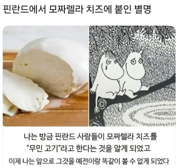 핀란드에서는 모짜렐라 치즈를 | 인스티즈
