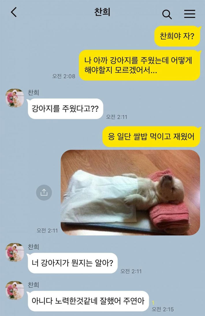 강아지를 주웠는데 | 인스티즈