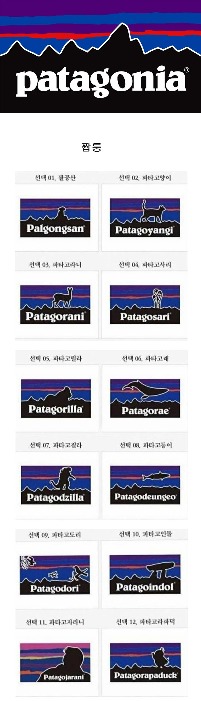 어떤 브랜드 짭퉁 | 인스티즈