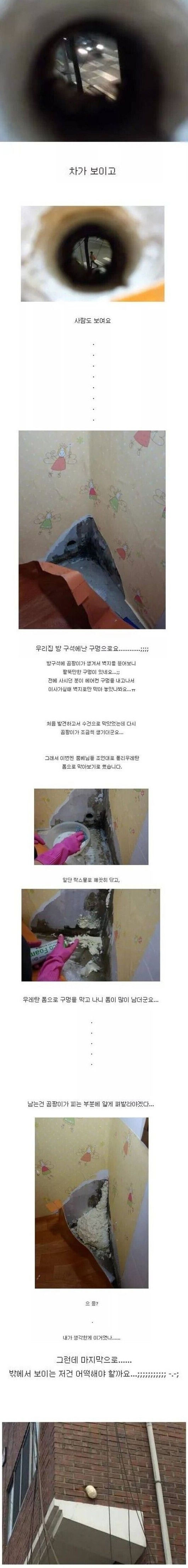 셀프 집수리 | 인스티즈