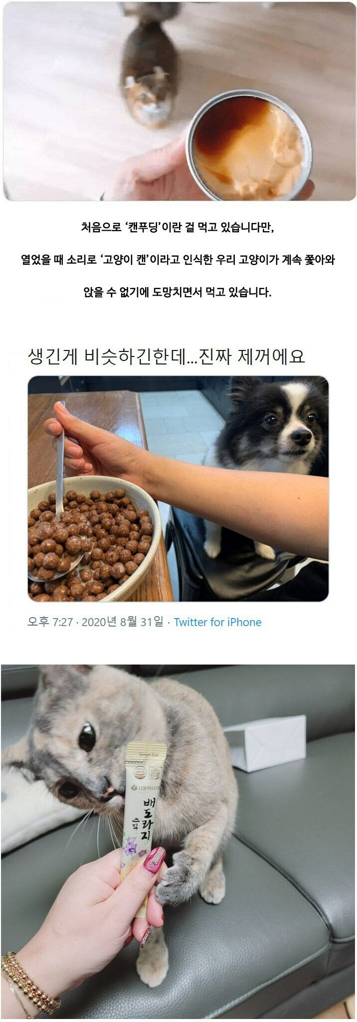 얘들아 오해야~ | 인스티즈