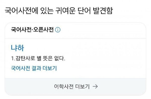 귀여운 단어 발견 | 인스티즈