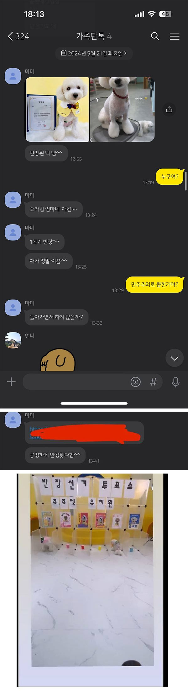 내가 모르는 강아지 반장선거 | 인스티즈