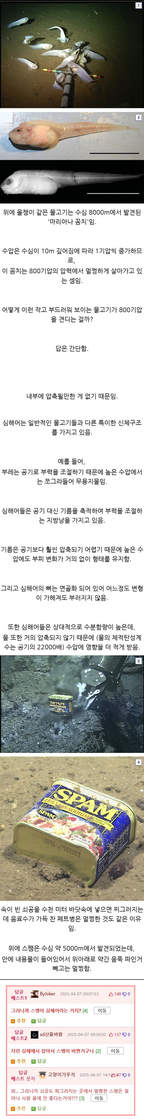 심해어 스팸 | 인스티즈