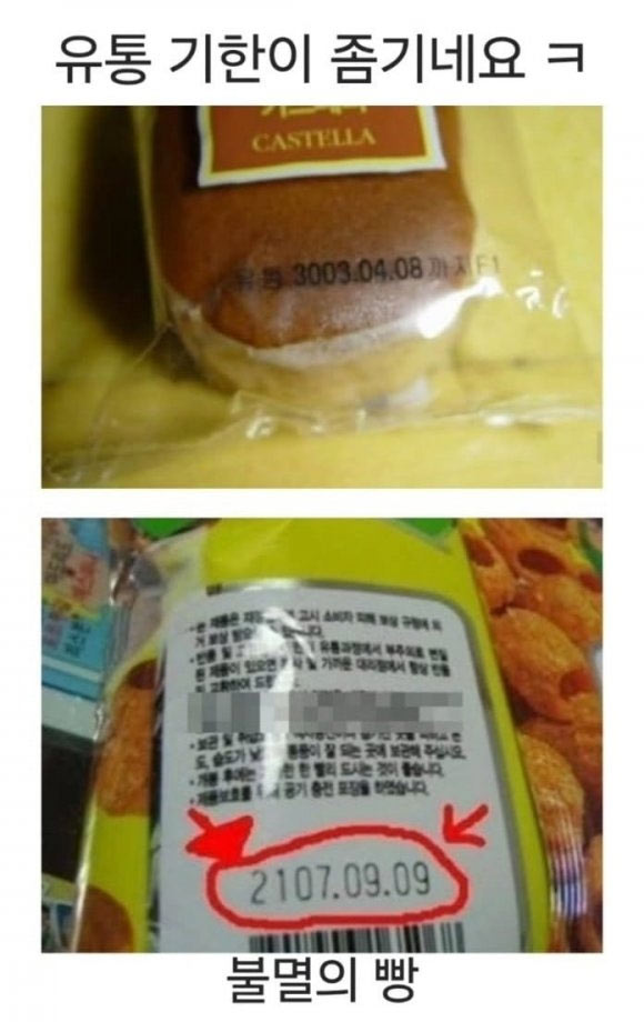 불멸의 빵 | 인스티즈