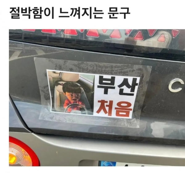 절박함이 묻어난다 | 인스티즈