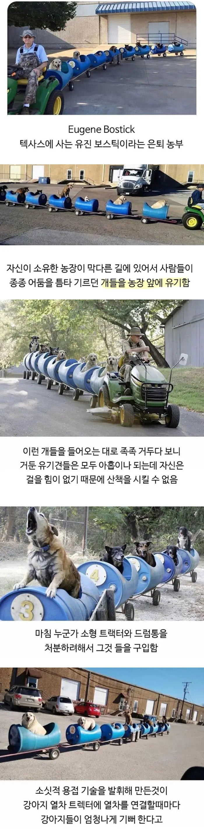 할아버지의 산책 시간 | 인스티즈