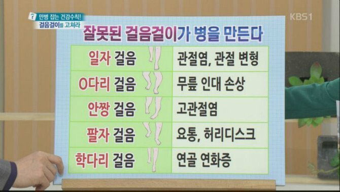 사족보행이 답이다! | 인스티즈