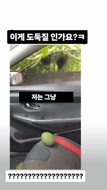 이게 도둑질인가요? | 인스티즈