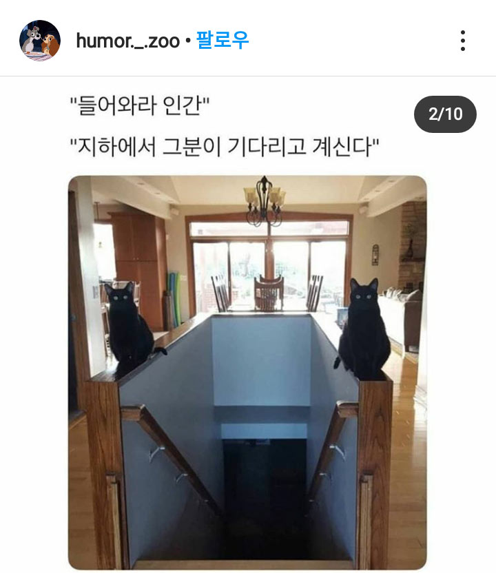 들어와라 닝겐 | 인스티즈