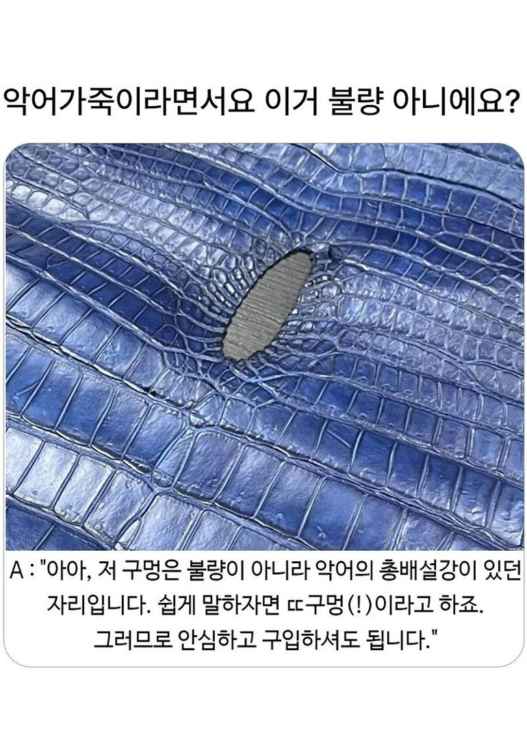 불량 악어 가죽 | 인스티즈